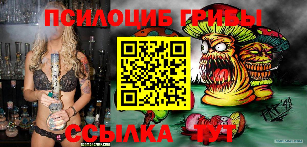 Полевской  Галлюциногенные грибы GOLDEN TEACHER  Вход с VPN  Псилоцибиновые грибы Psilocybe 